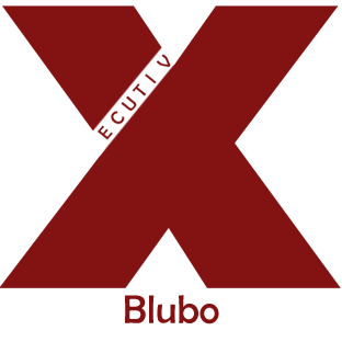 Blubo - Developer-Administrator